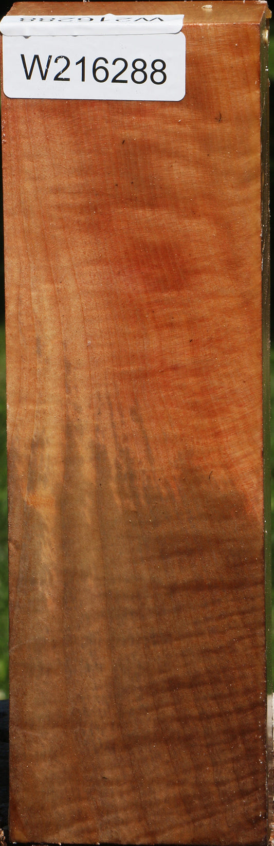 Figured Madrone Turning Blank