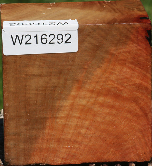 Figured Madrone Bowl Blank