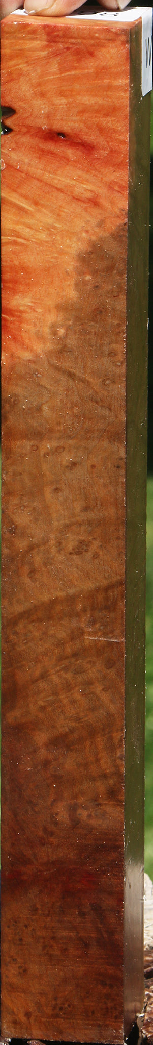 Extra Fancy Madrone Burl Turning Square