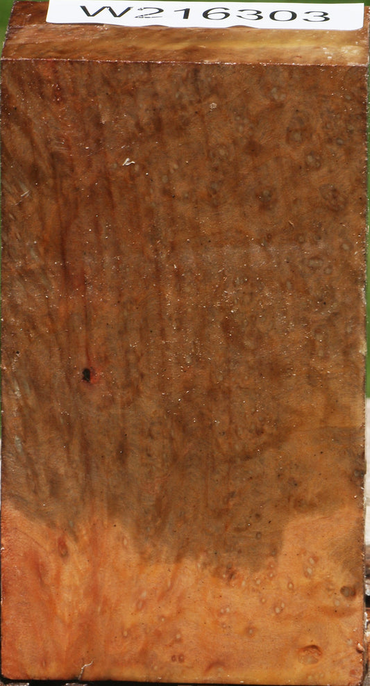Extra Fancy Madrone Burl Turning Blank