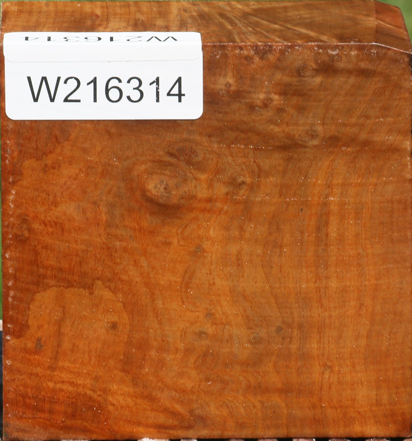 Figured Madrone Burl Bowl Blank