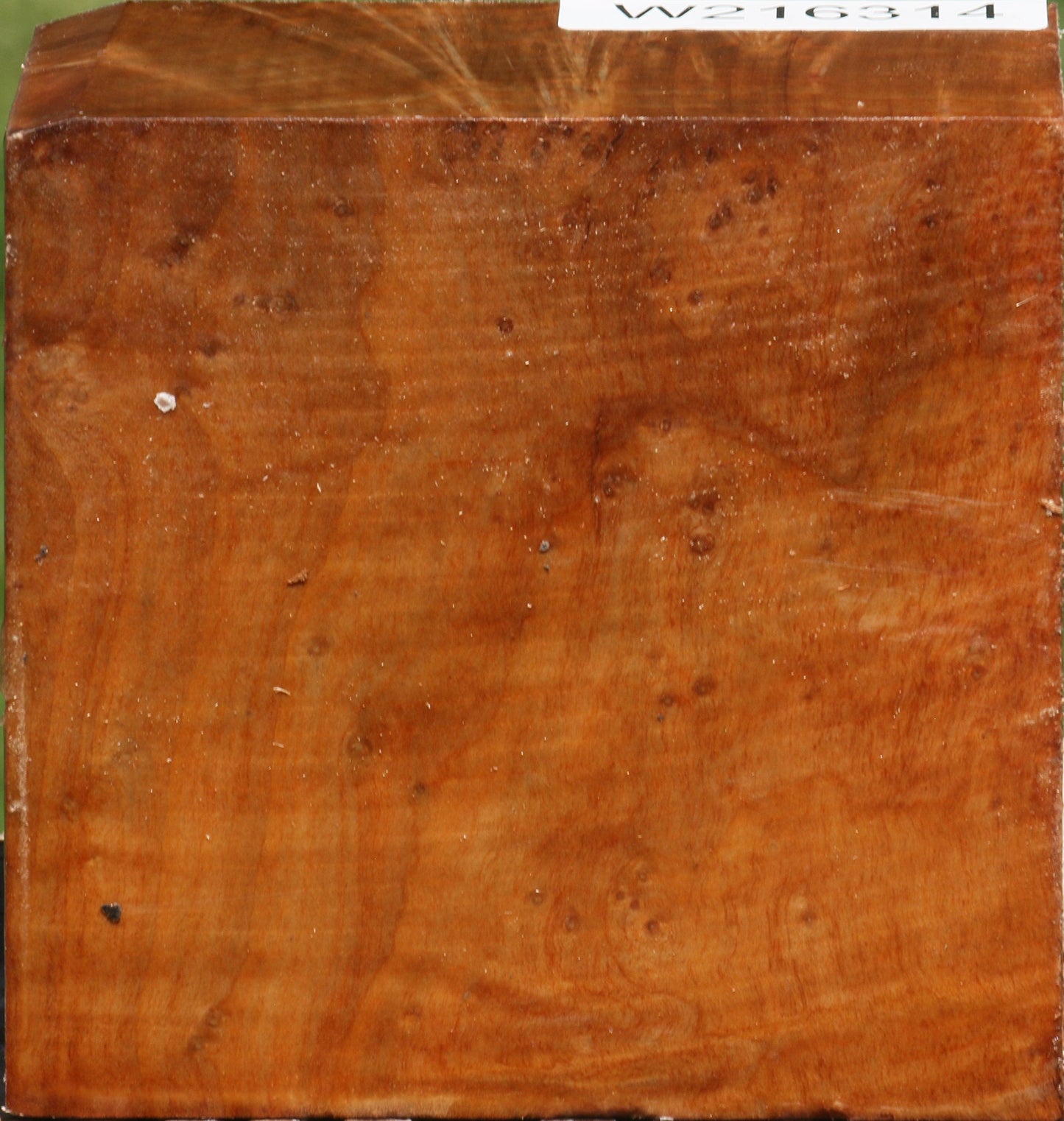 Figured Madrone Burl Bowl Blank