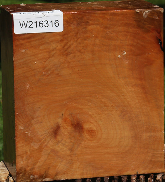 Figured Madrone Bowl Blank