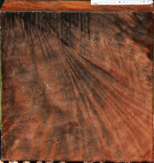 Figured Madrone Bowl Blank