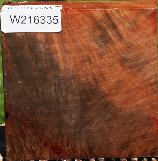 Figured Madrone Burl Bowl Blank