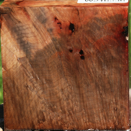 Extra Fancy Madrone Burl Bowl Blank