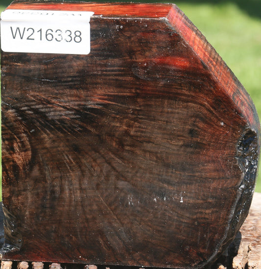 Extra Fancy Madrone Burl Bowl Blank