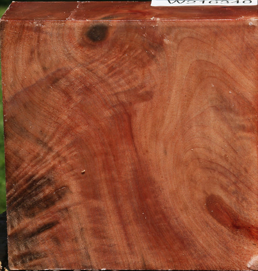 Figured Madrone Bowl Blank