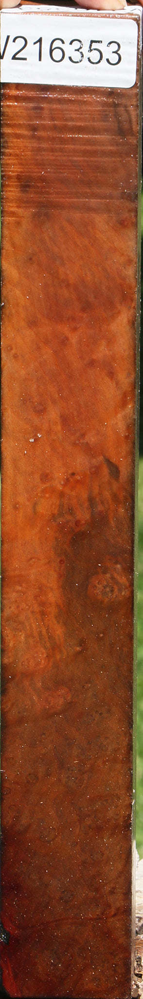 Extra Fancy Madrone Burl Turning Square