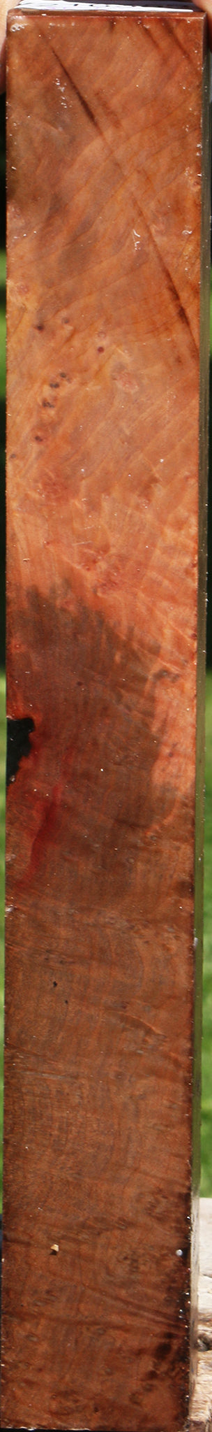 Extra Fancy Madrone Burl Turning Square