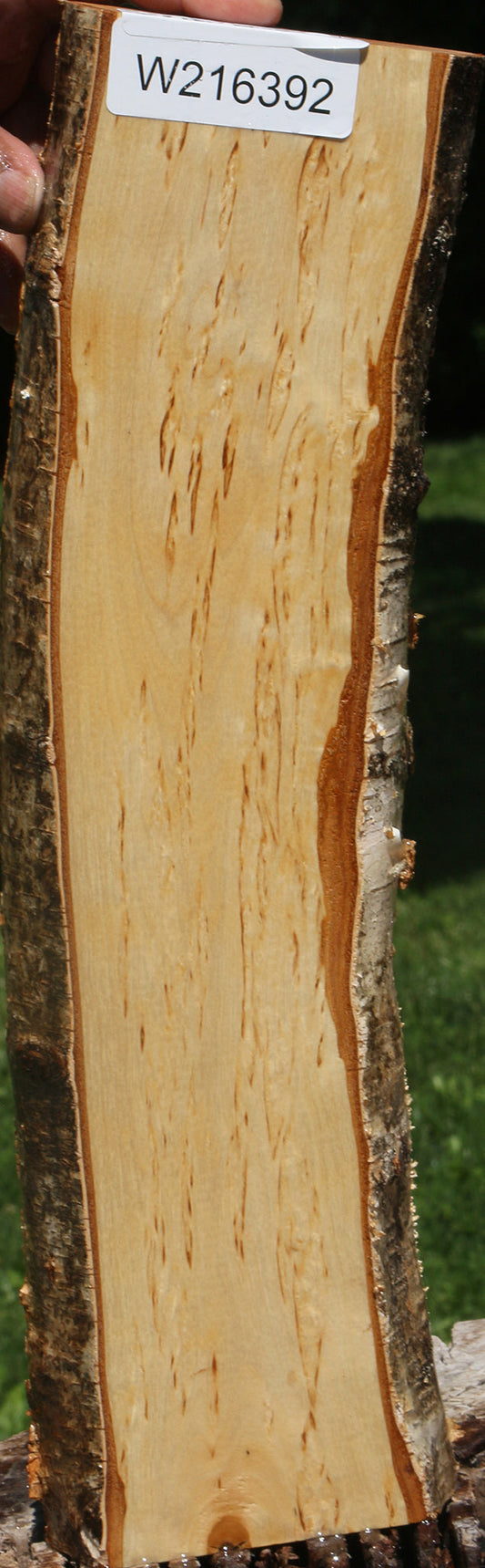 Figured Masur Birch Live Edge Lumber