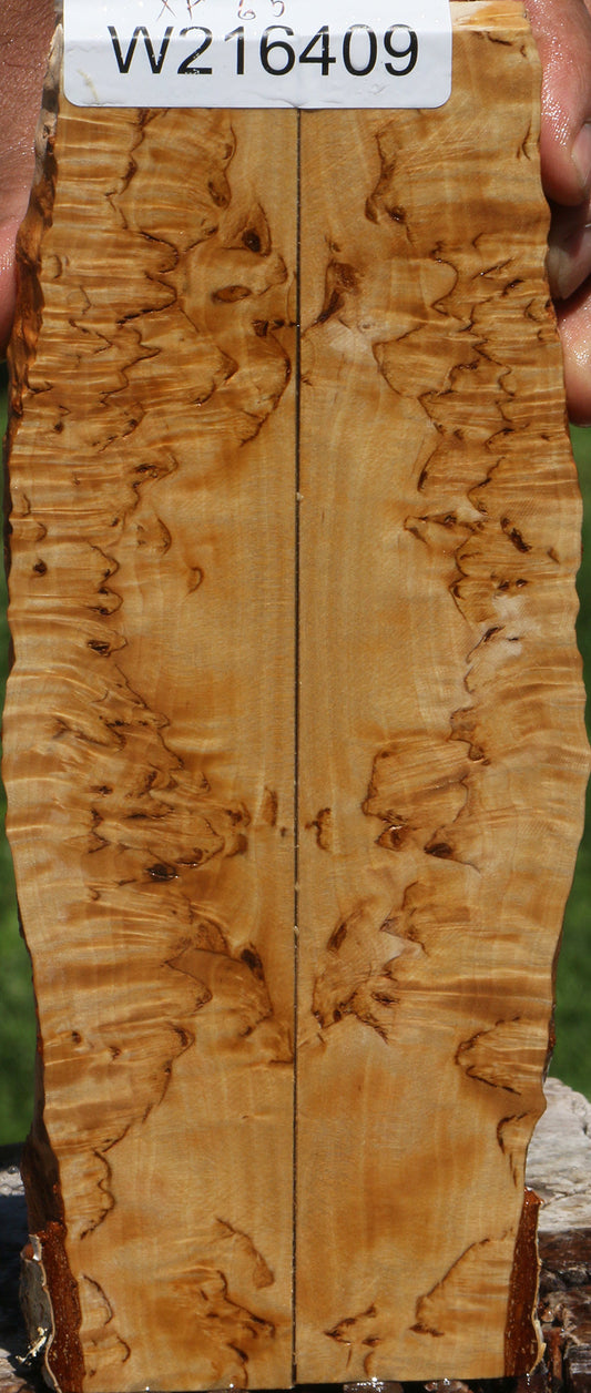 Extra Fancy Masur Birch Live Edge Knife Scales