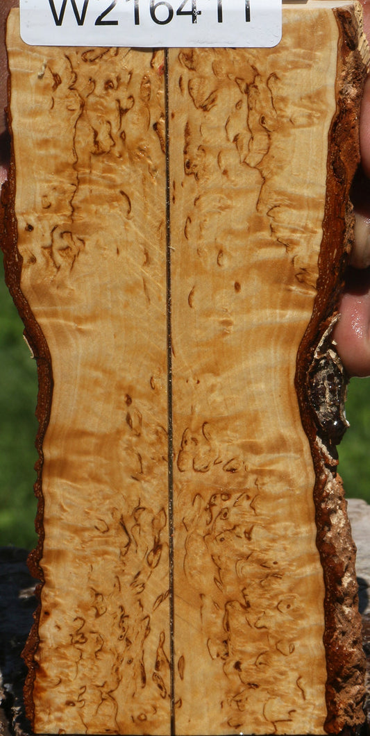 Extra Fancy Masur Birch Live Edge Knife Scales