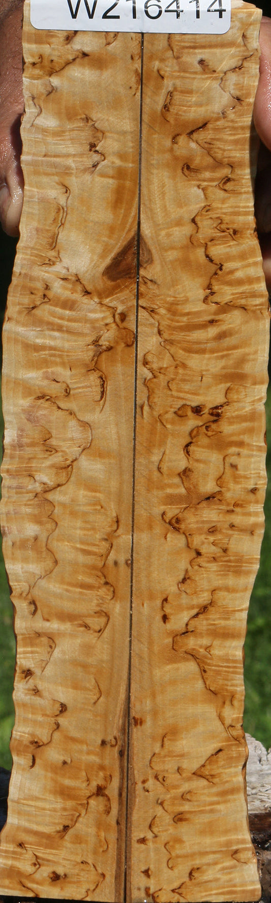 Exhibition Masur Birch Live Edge Knife Scales