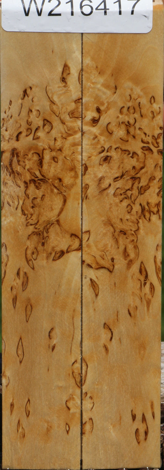 Extra Fancy Masur Birch Knife Scales