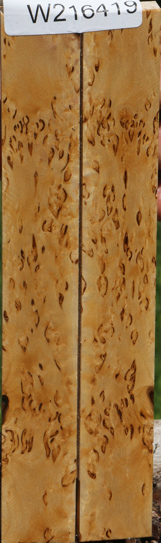 Extra Fancy Masur Birch Knife Scales