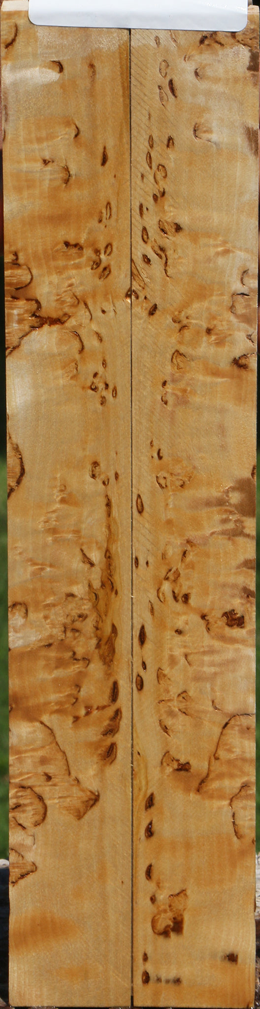 Extra Fancy Masur Birch Knife Scales