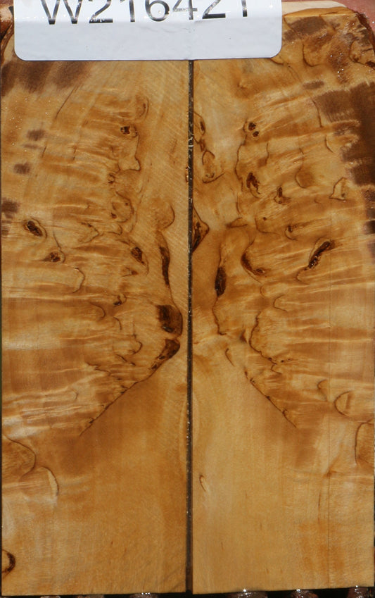 Extra Fancy Masur Birch Knife Scales