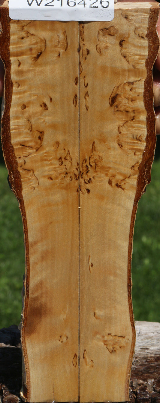 Extra Fancy Masur Birch Live Edge Knife Scales