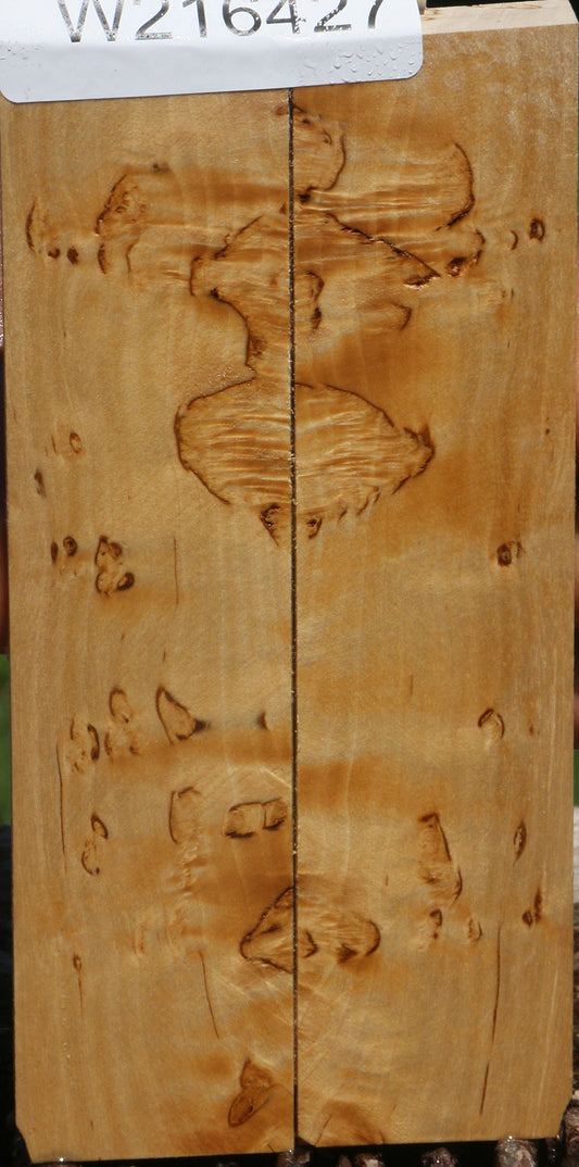 Extra Fancy Masur Birch Knife Scales