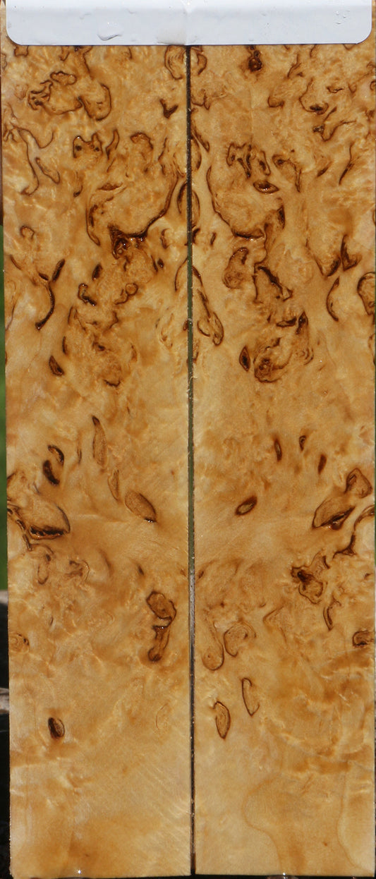 Exhibition Masur Birch Knife Scales