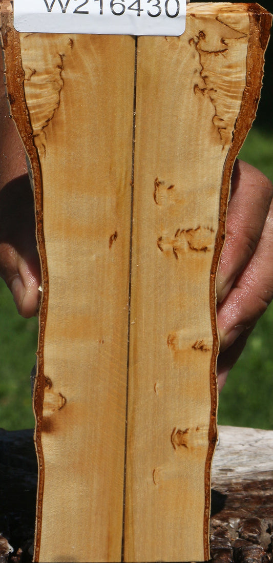 Figured Masur Birch Live Edge Knife Scales