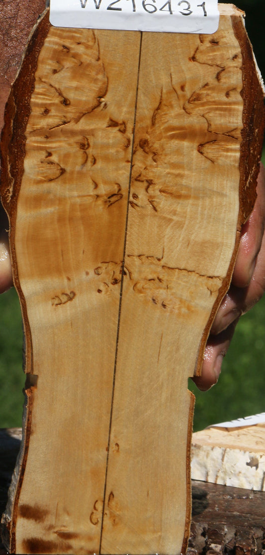 Extra Fancy Masur Birch Live Edge Knife Scales