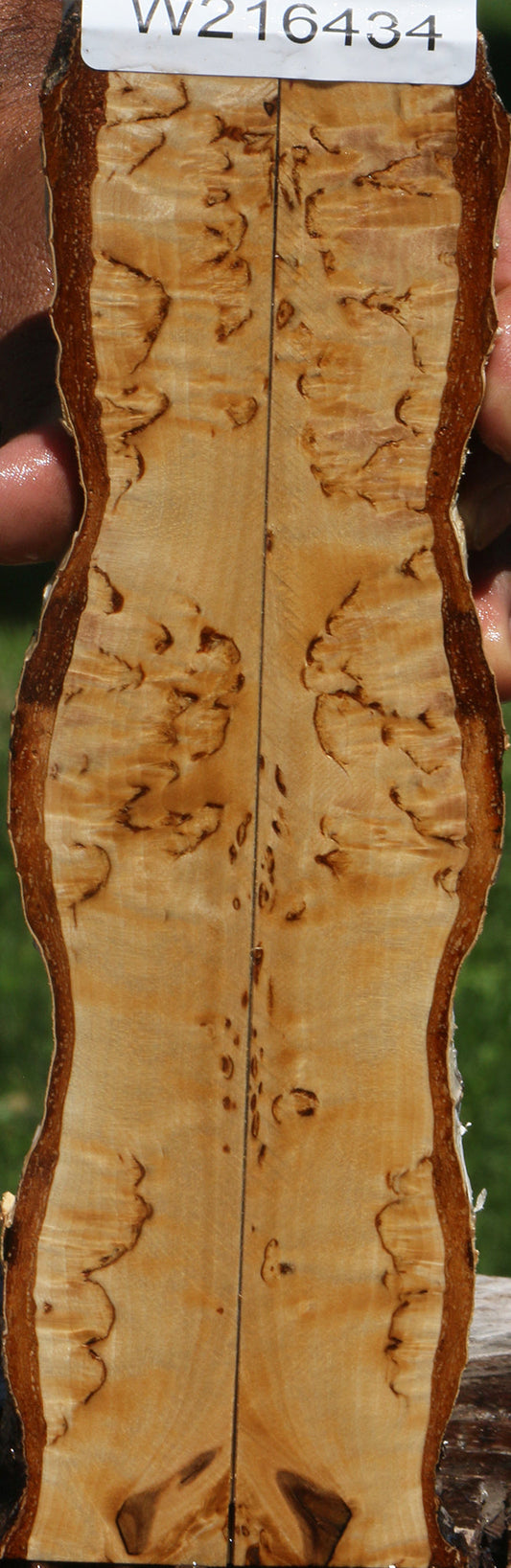 Extra Fancy Masur Birch Live Edge Knife Scales