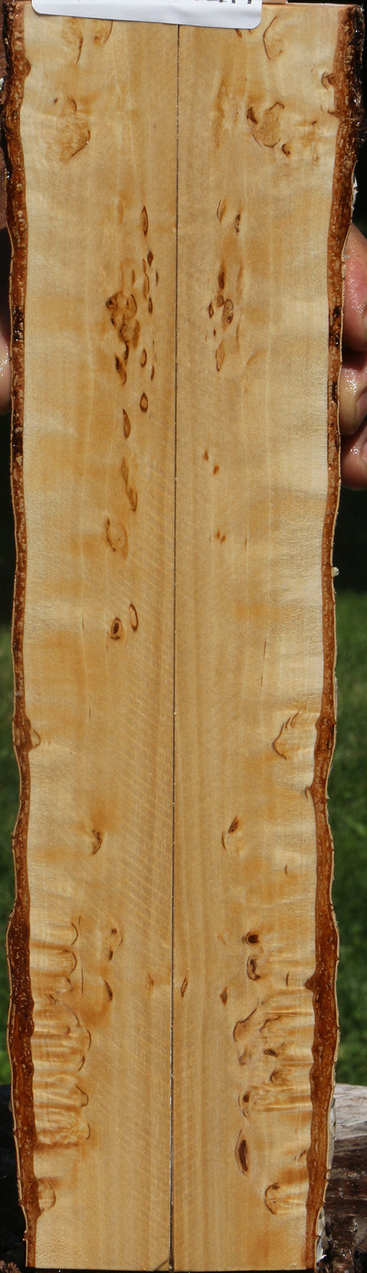 Figured Masur Birch Live Edge Knife Scales