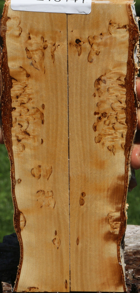 Figured Masur Birch Live Edge Knife Scales