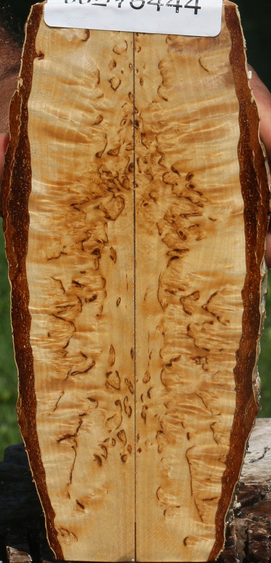 Exhibition Masur Birch Live Edge Knife Scales