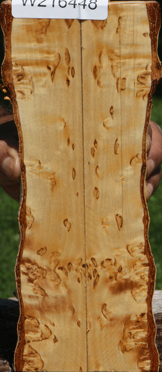 Extra Fancy Masur Birch Live Edge Knife Scales