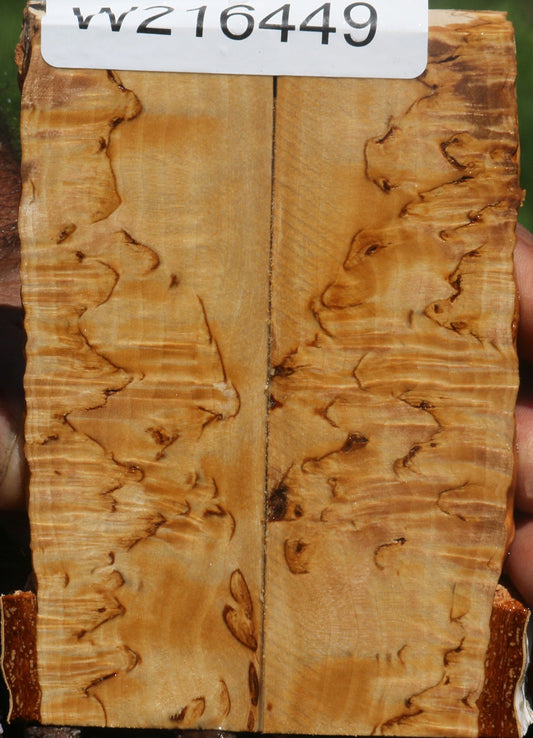 Extra Fancy Masur Birch Live Edge Knife Scales