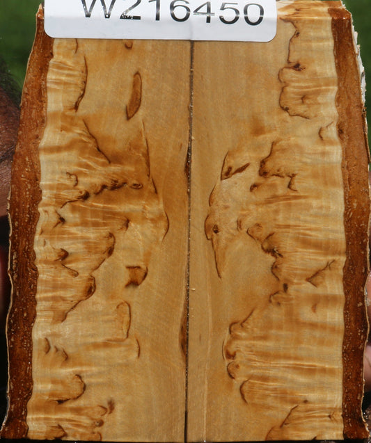 Extra Fancy Masur Birch Live Edge Knife Scales