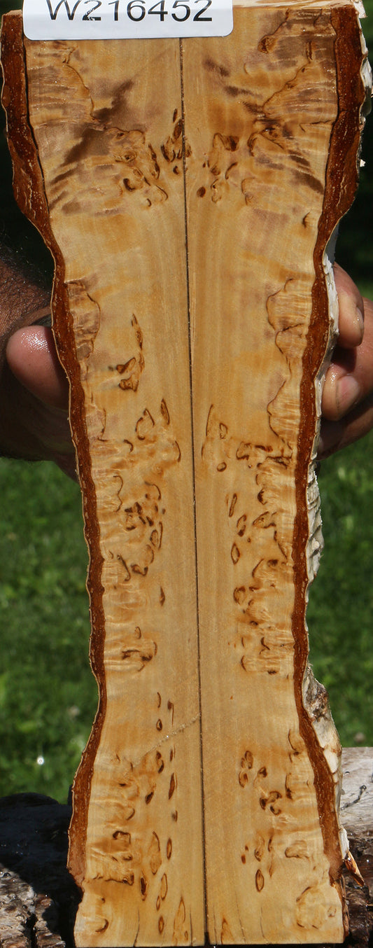 Extra Fancy Masur Birch Live Edge Knife Scales