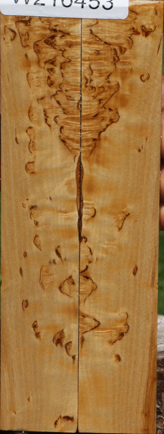 Extra Fancy Masur Birch Knife Scales