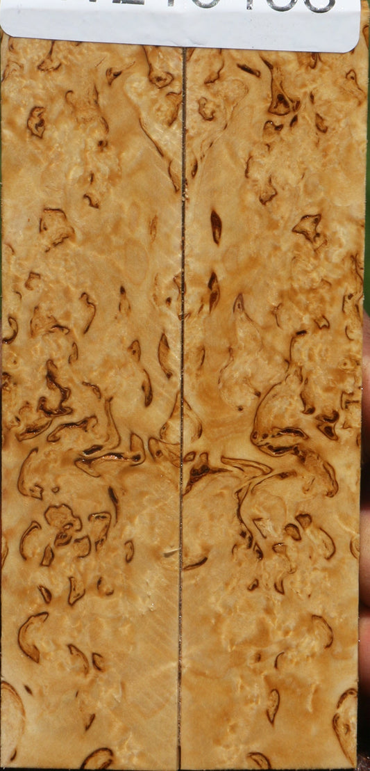 Extra Fancy Masur Birch Knife Scales