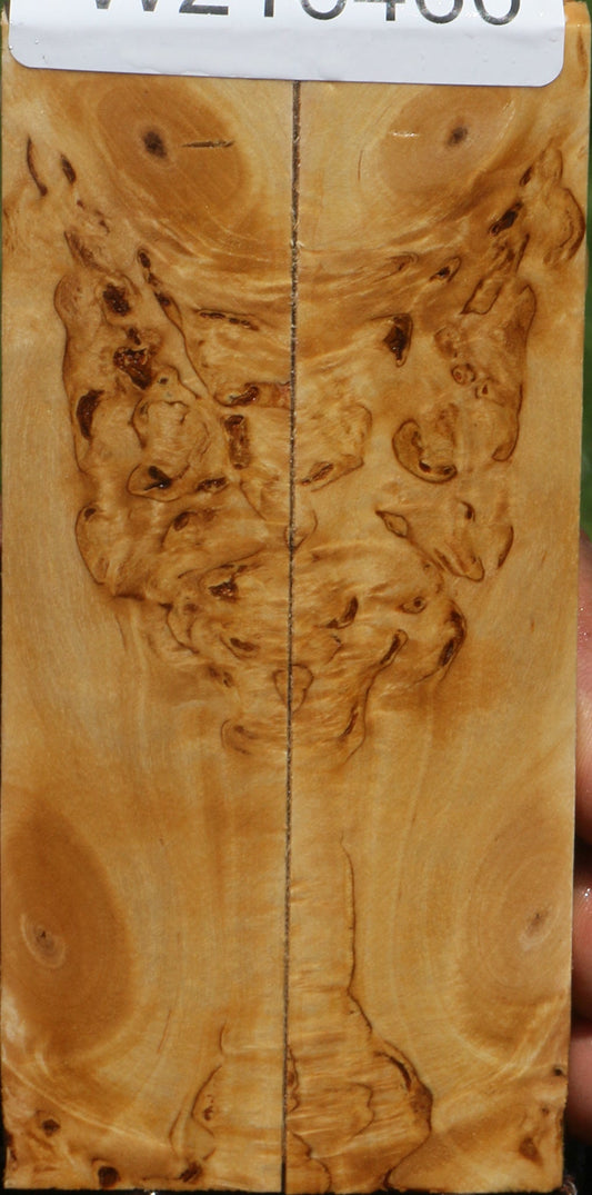 Extra Fancy Masur Birch Knife Scales