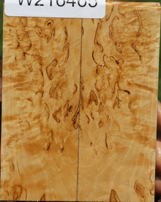 Extra Fancy Masur Birch Knife Scales