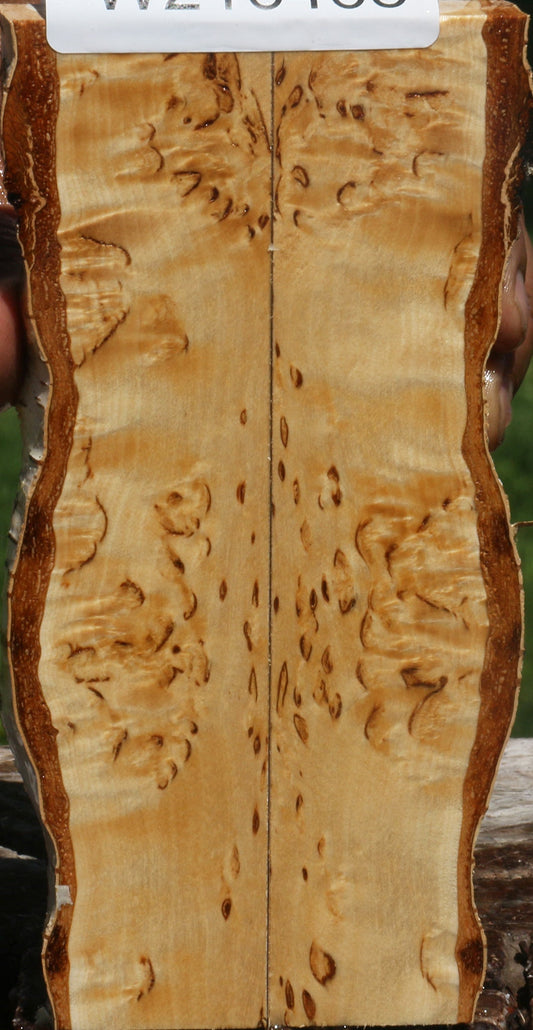 Extra Fancy Masur Birch Live Edge Knife Scales