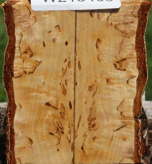 Extra Fancy Masur Birch Live Edge Knife Scales