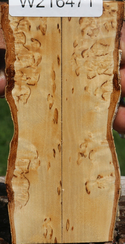 Extra Fancy Masur Birch Live Edge Knife Scales