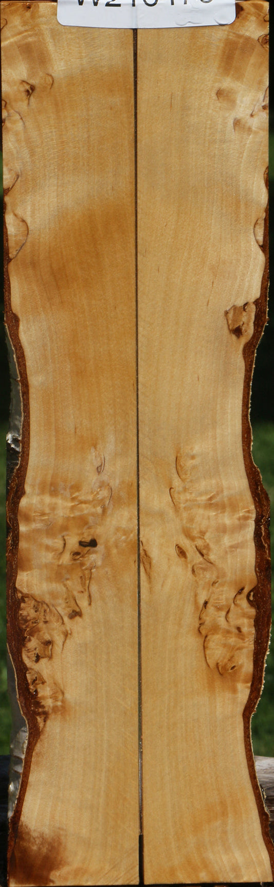 Figured Masur Birch Live Edge Knife Scales