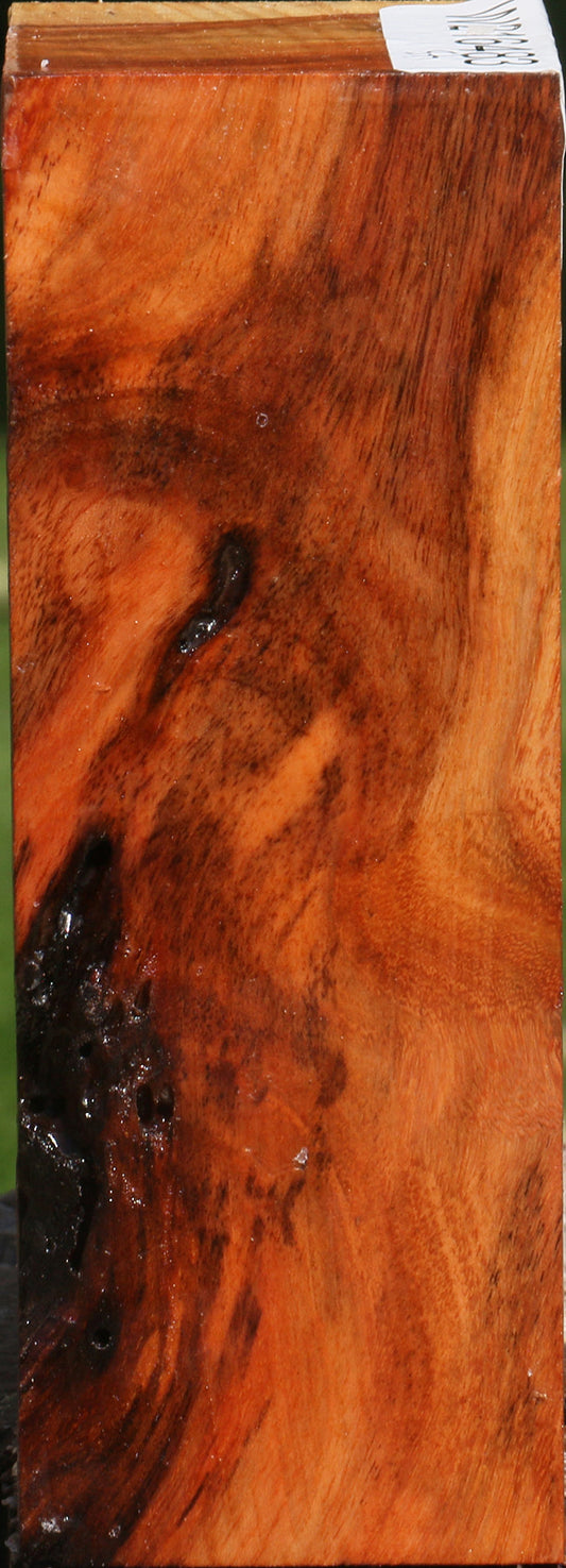 Carob Turning Blank