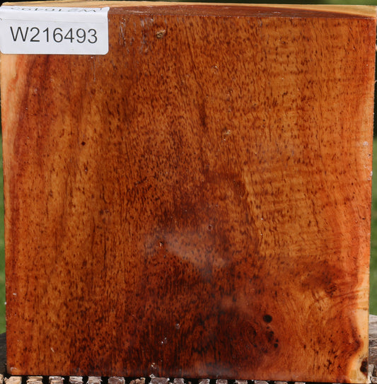 Fiddleback Carob Bowl Blank