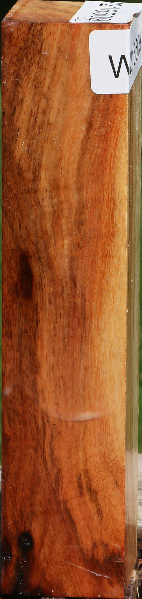 Carob Turning Square