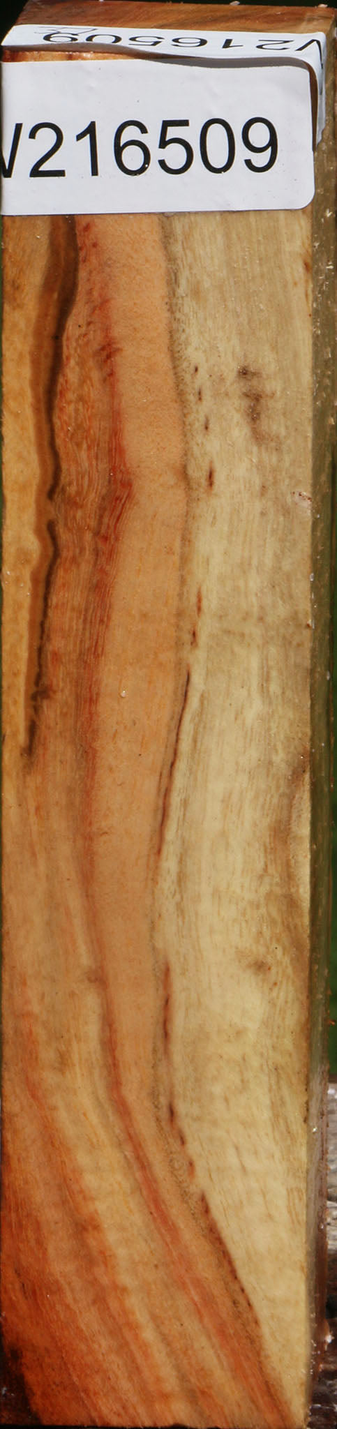 Carob Turning Square