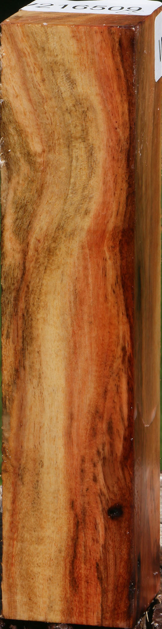 Carob Turning Square