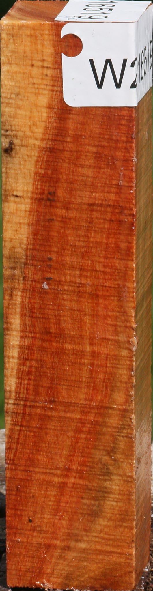 Carob Turning Square