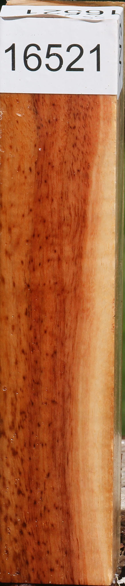 Carob Turning Square